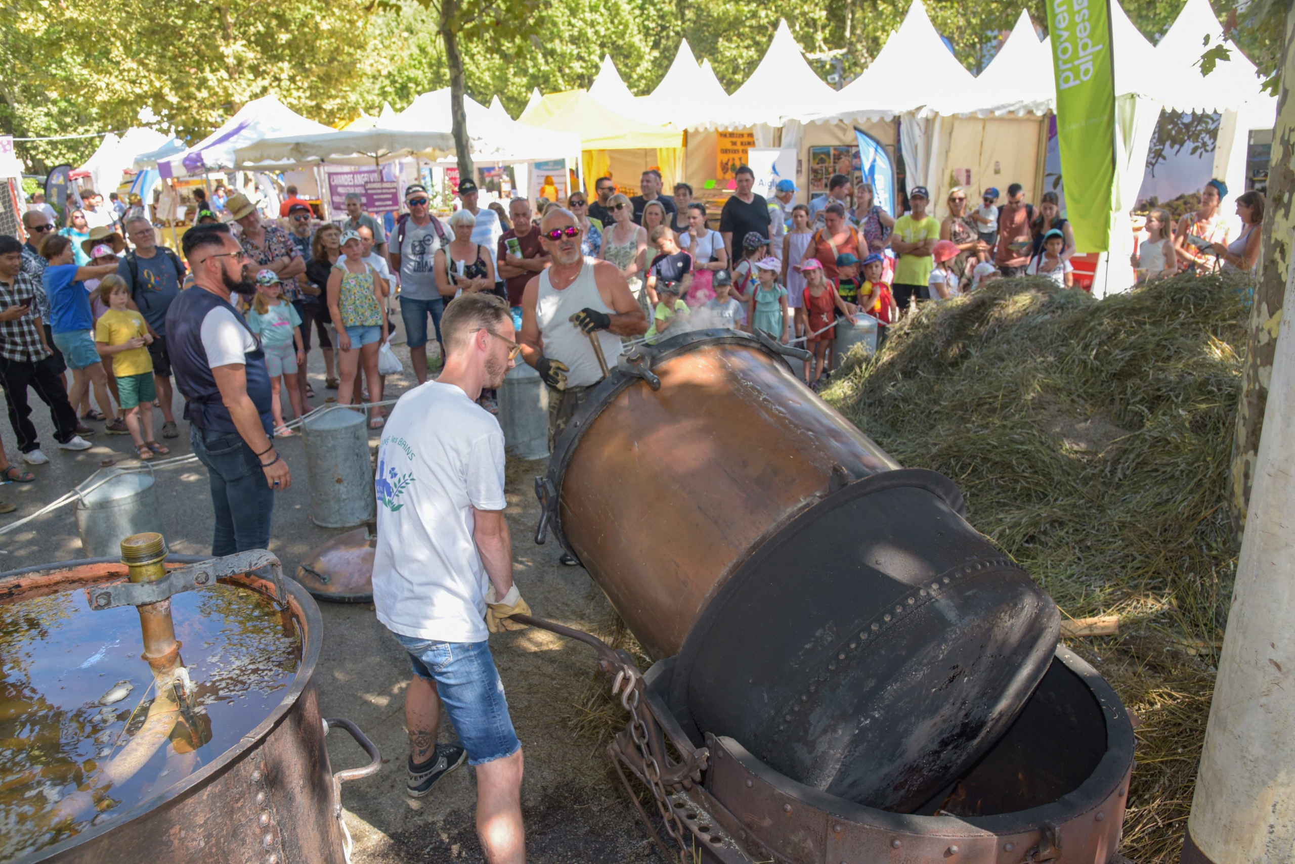 ANIMATION ESPACE TERROI FOIRE LAVANDE 2024 (6)