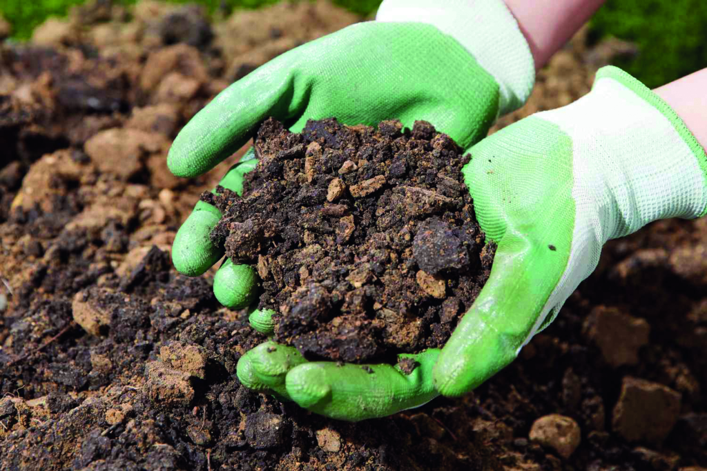 20 Soil Facts For Earth Enthusiasts 1714368654 Libre De Droits