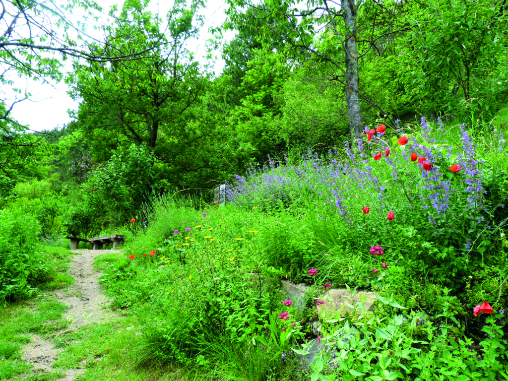 MP Jardin Des Papillons 11